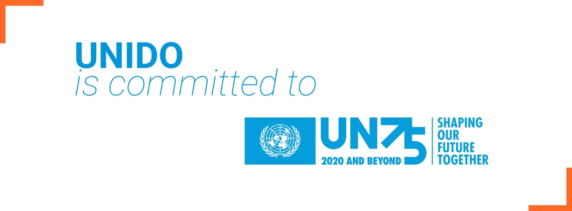 UNIDO | United Nations Industrial Development Organization